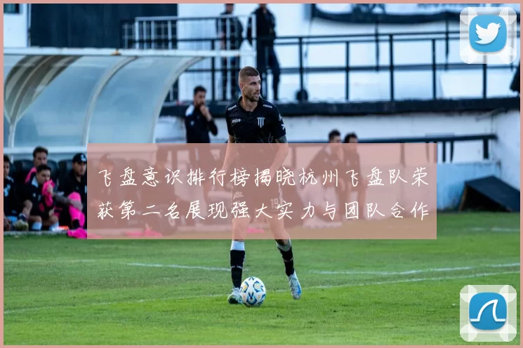飞盘意识排行榜揭晓杭州飞盘队荣获第二名展现强大实力与团队合作精神