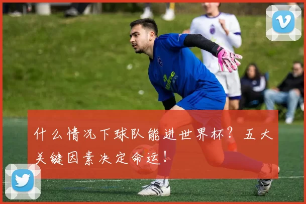 什么情况下球队能进世界杯?五大关键因素决定命运!