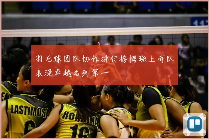 羽毛球团队协作排行榜揭晓上海队表现卓越名列第一
