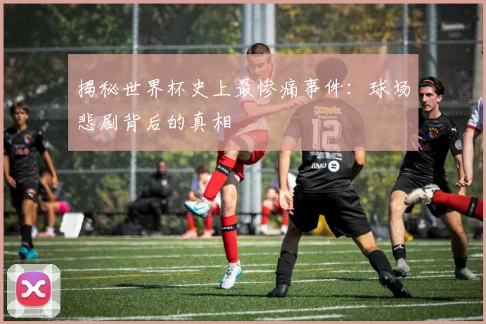 揭秘世界杯史上最惨痛事件:球场悲剧背后的真相