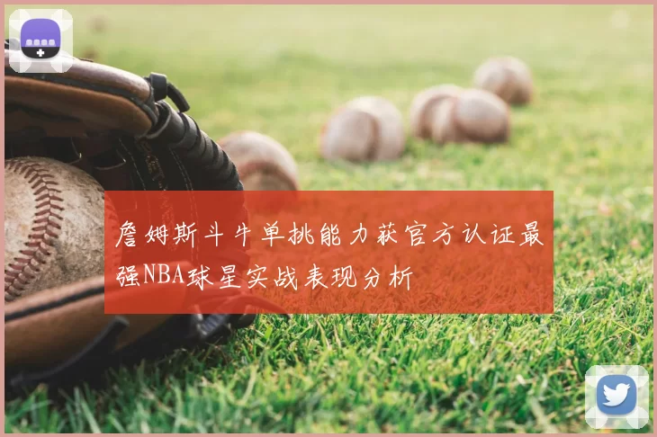 詹姆斯斗牛单挑能力获官方认证最强NBA球星实战表现分析