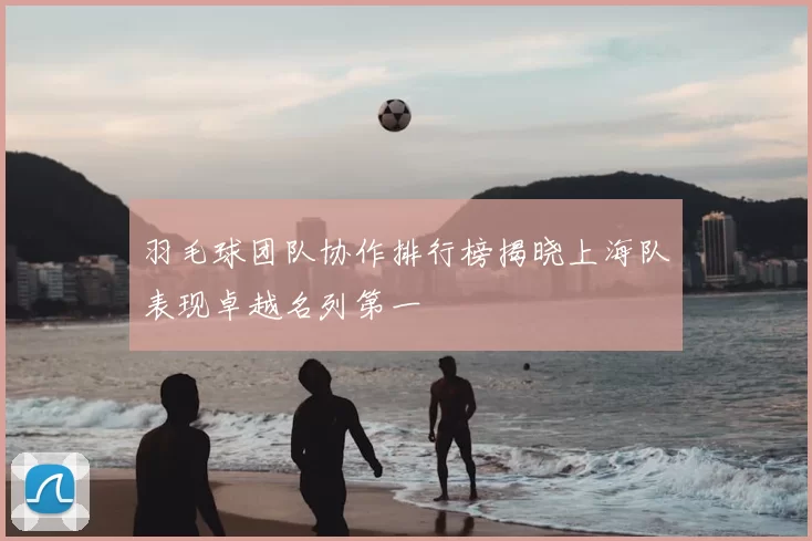 羽毛球团队协作排行榜揭晓上海队表现卓越名列第一