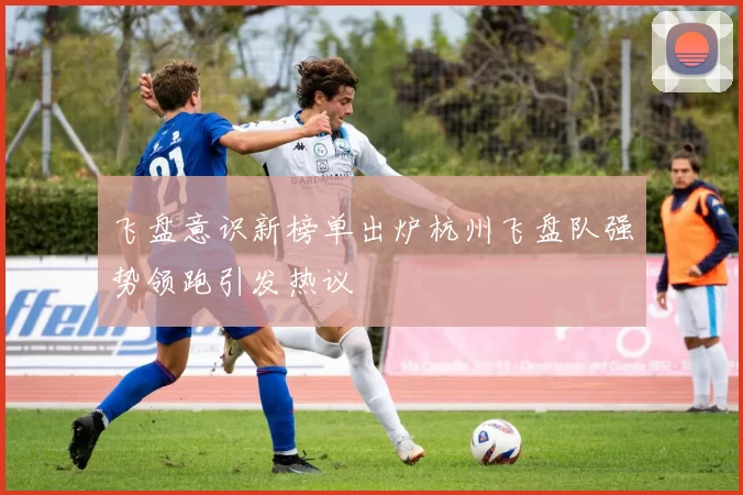 飞盘意识新榜单出炉杭州飞盘队强势领跑引发热议