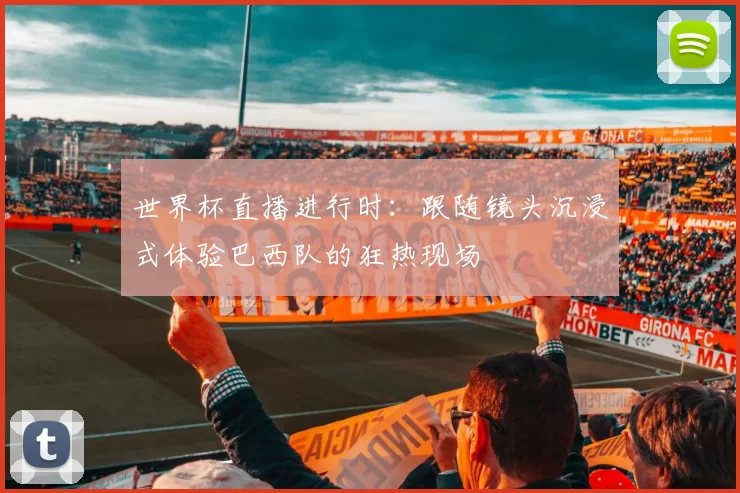世界杯直播进行时：跟随镜头沉浸式体验巴西队的狂热现场