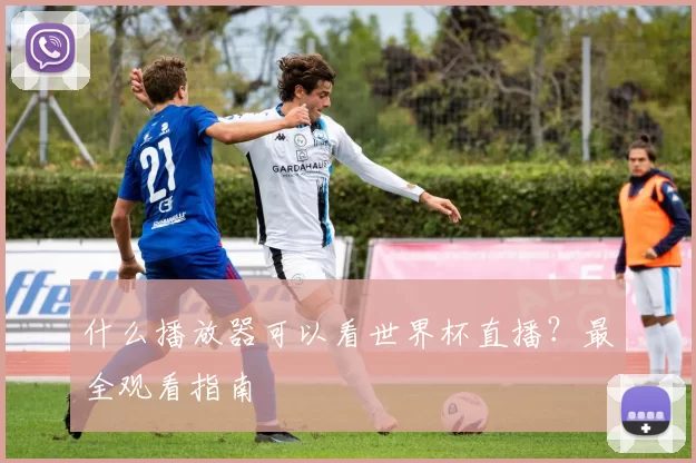 什么播放器可以看世界杯直播?最全观看指南