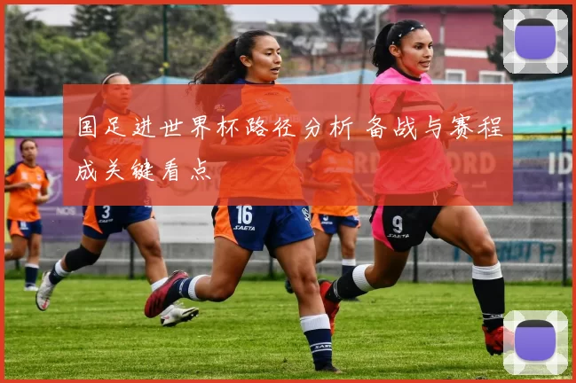 国足进世界杯路径分析 备战与赛程成关键看点
