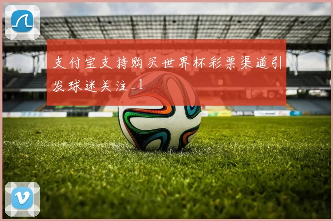 支付宝支持购买世界杯彩票渠道引发球迷关注_1
