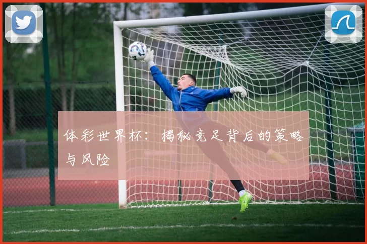 体彩世界杯：揭秘竞足背后的策略与风险