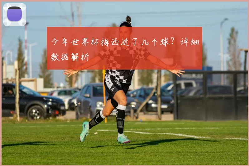 今年世界杯梅西进了几个球？详细数据解析