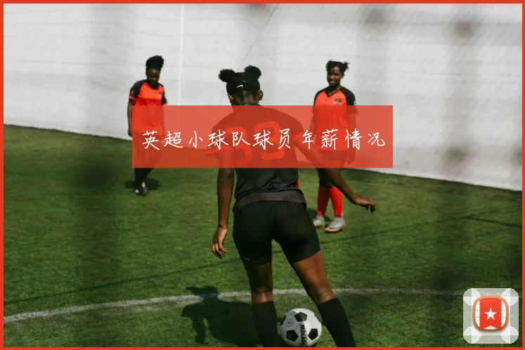 英超小球队球员年薪情况