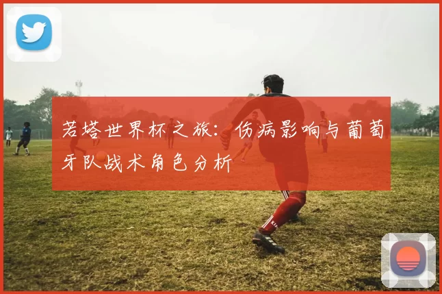 若塔世界杯之旅:伤病影响与葡萄牙队战术角色分析