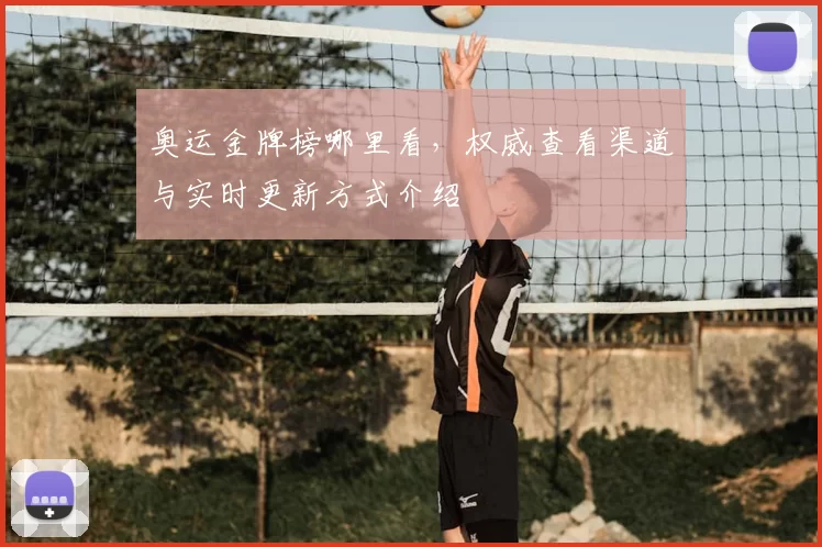 奥运金牌榜哪里看，权威查看渠道与实时更新方式介绍