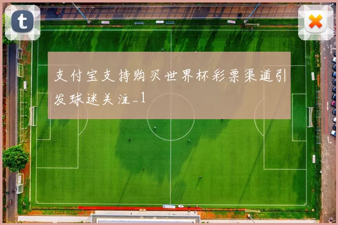 支付宝支持购买世界杯彩票渠道引发球迷关注_1