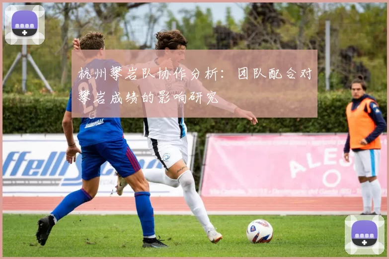 杭州攀岩队协作分析：团队配合对攀岩成绩的影响研究